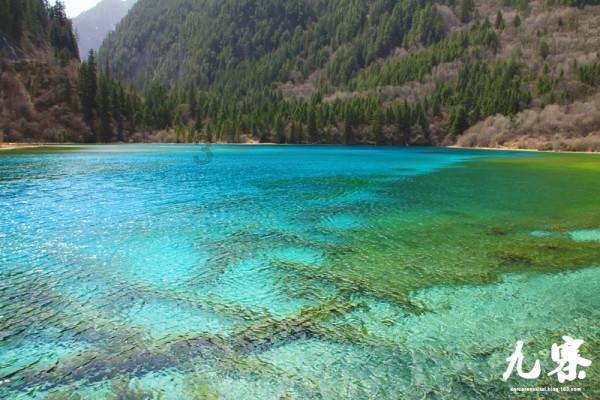 兖州区惠民服务“三下乡”，让大年更添喜庆味道