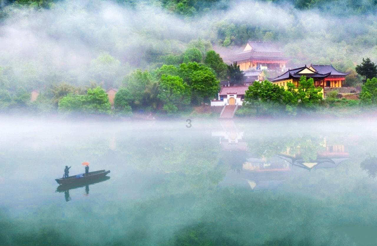 救援小肥兔