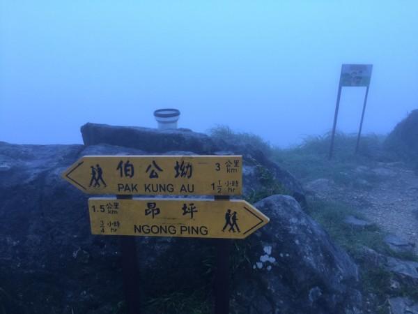 火影忍者冒险传