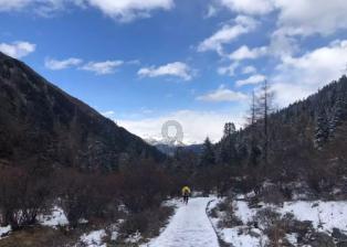 公主热带婚礼主题