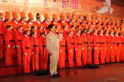 哈尼和她的宠物们