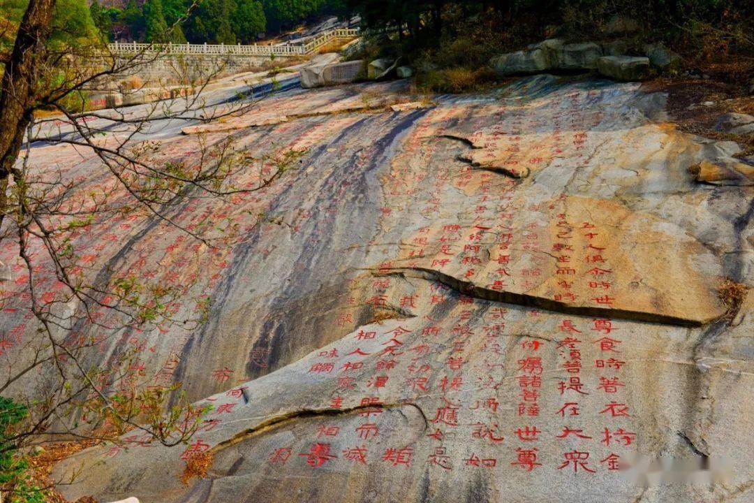 牧场物语希望之光